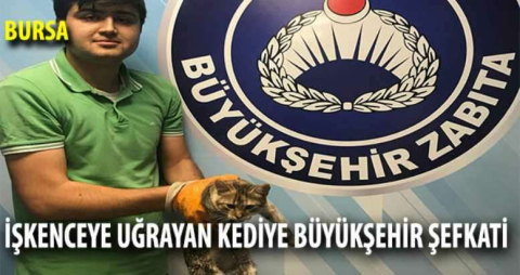 İşkenceye uğrayan kediye Büyükşehir şefkati