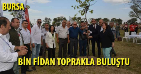 Bin fidan toprakla buluştu