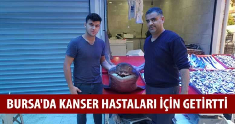 Bursa'da Kanser hastaları için getirtti