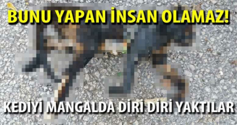 Bunu yapan insan olamaz