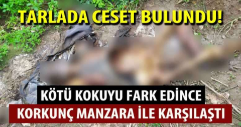 Bursa'da ceset şoku!