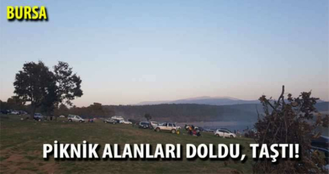 Piknik alanları doldu, taştı!