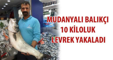 Mudanyalı balıkçı 10 kiloluk levrek yakaladı