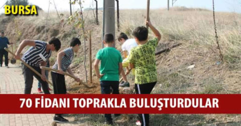 70 fidanı toprakla buluşturdular