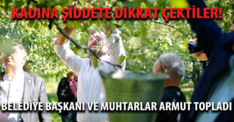 Belediye Başkanı ve muhtarlar armut topladı