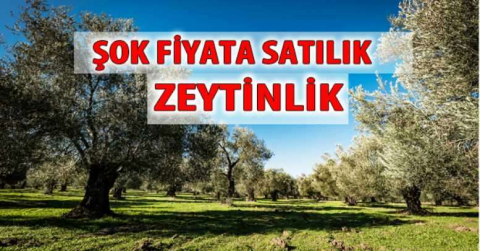 İNANILMAZ FİYATA SATILIK!