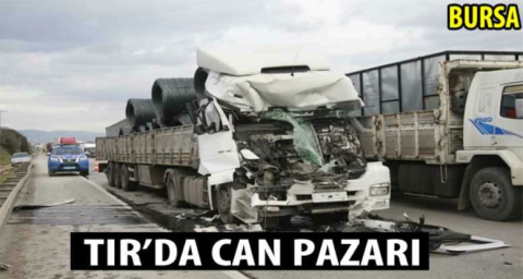 TIR'da can pazarı