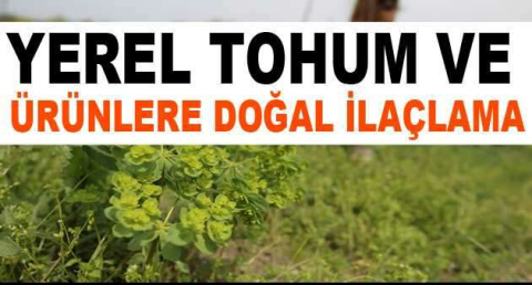 Yerel tohum ve ürünlere doğal ilaçlama