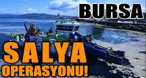 Bursa sahillerinde salya operasyonu