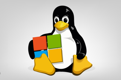 Microsoft’un Linux hamlesi!