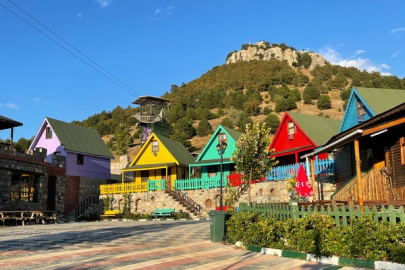 Gürsu'daki Ericek Adrenalin Park projesi dünya gündeminde