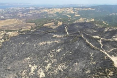 Çanakkale'deki 3 büyük orman yangını ile ilgili korkunç bilanço