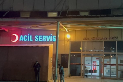 Kars'ta ceviz ağacından düşen muhtar öldü