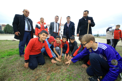 Okul bahçeleri fidanlarla şenlendi