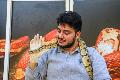 Kral pitonunu boynuna dolayıp seviyor