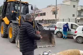 Bursa’da başıboş at sokak ortasında yere yığıldı