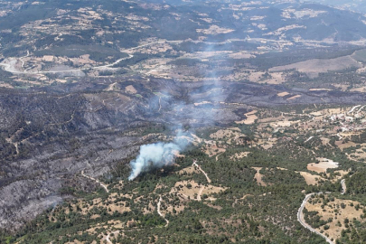 Bursa'daki yangın tekrar başladı